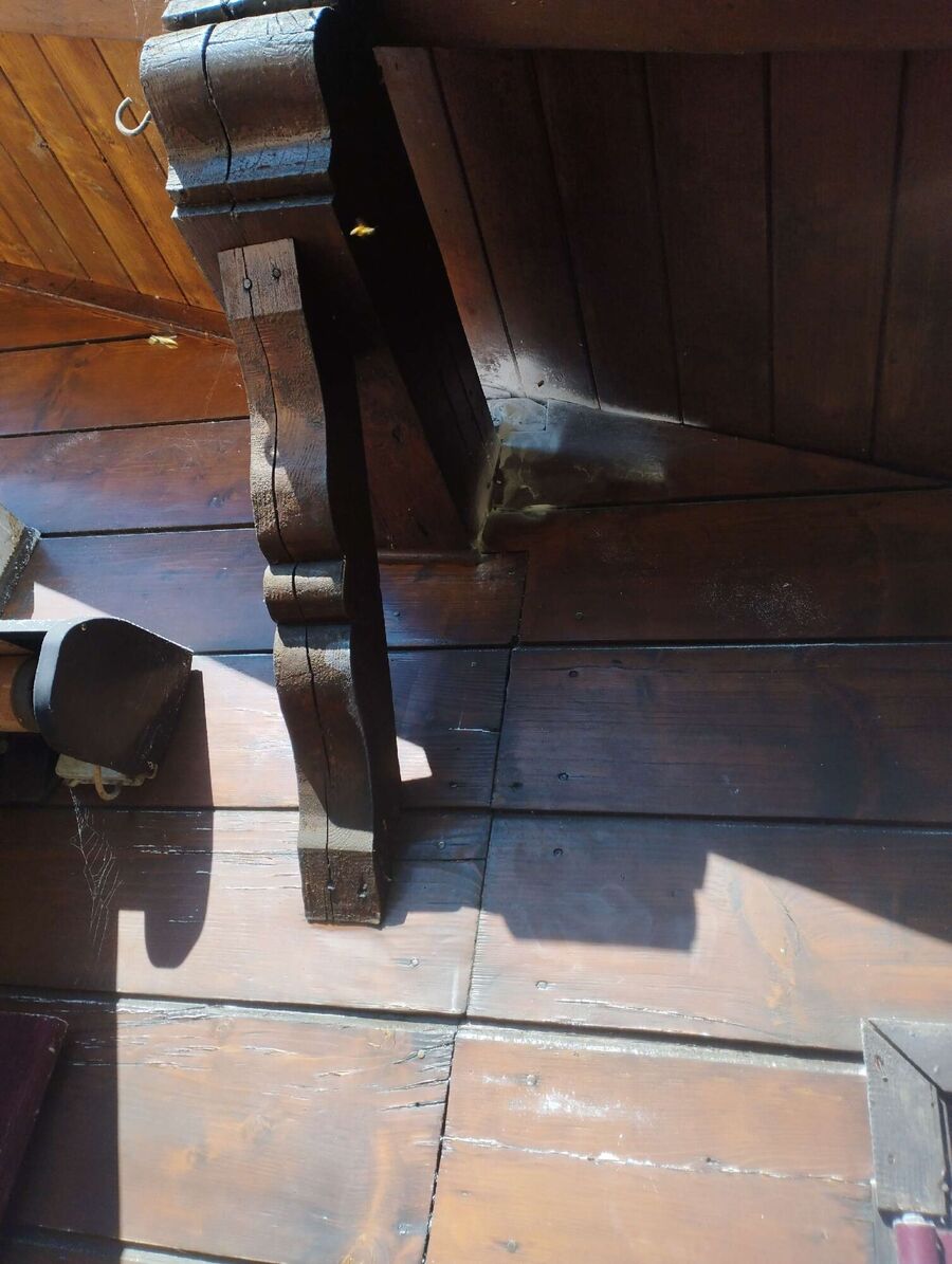 Relocate bees & remove bee nest