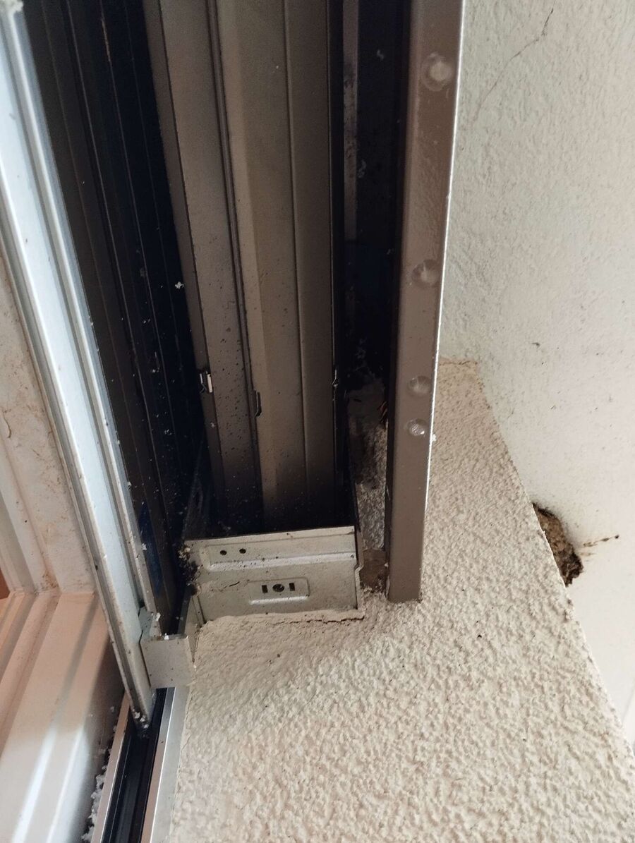 Bee nest at the house remove