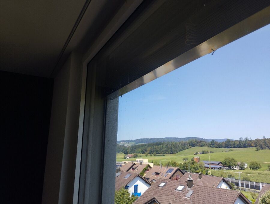 Bee nest at the house remove