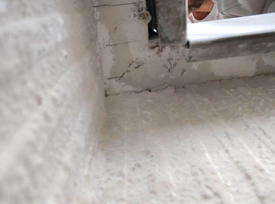 Bee nest at the house remove