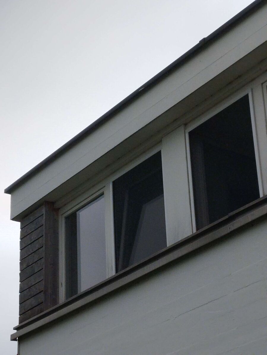 Bee nest at the house remove