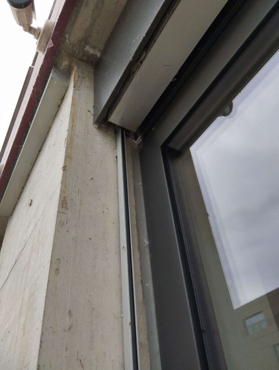 Relocate bees & remove bee nest