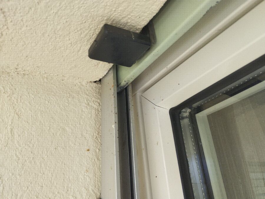 Relocate bees & remove bee nest