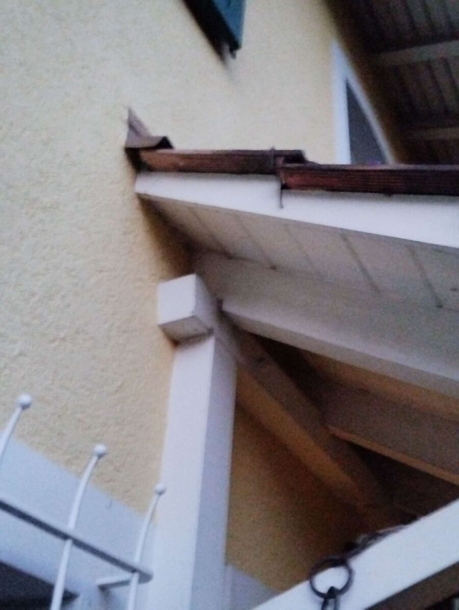 Bee nest at the house remove