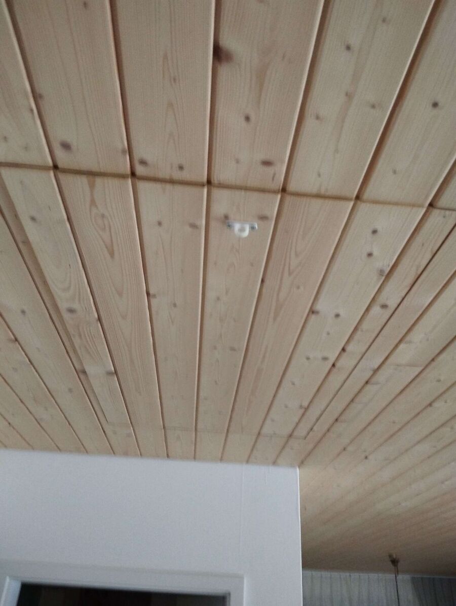 Relocate bees & remove bee nest