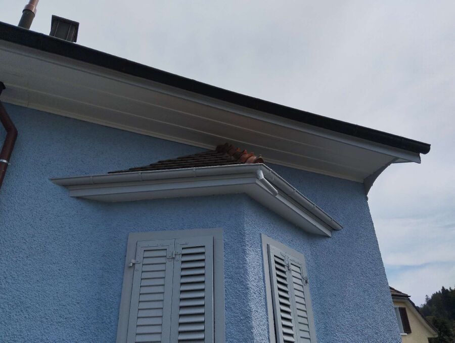 Bee nest at the house remove