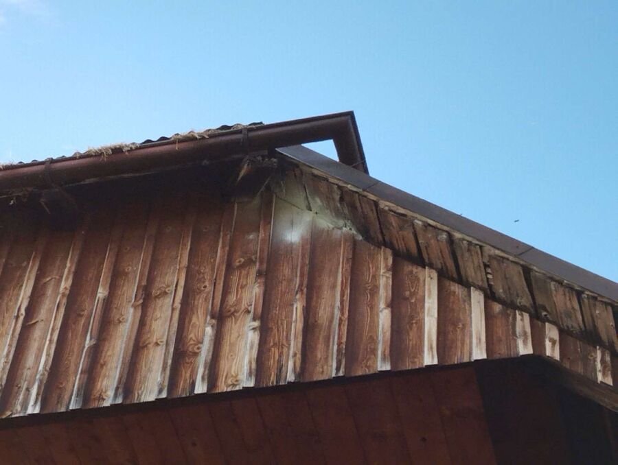 Bee nest at the house remove