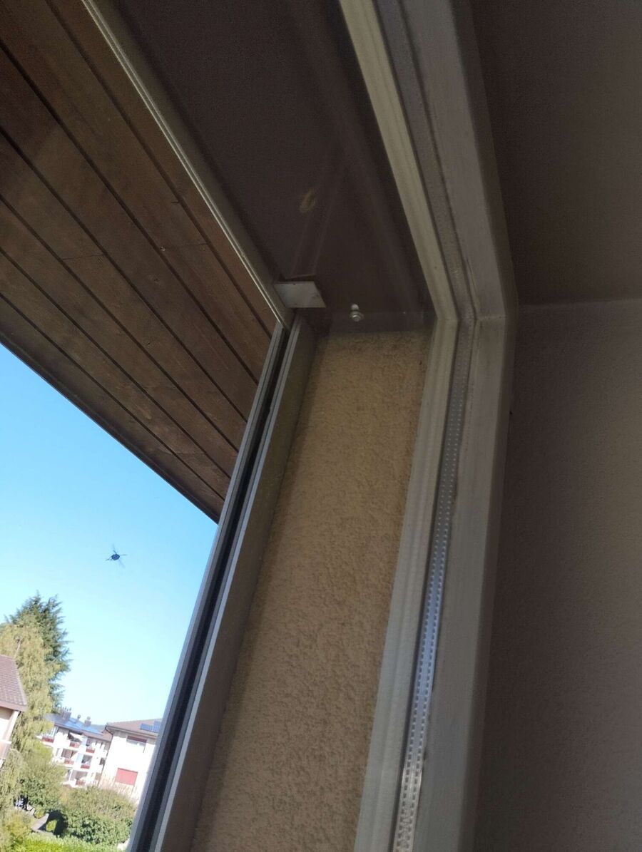 Relocate bees & remove bee nest