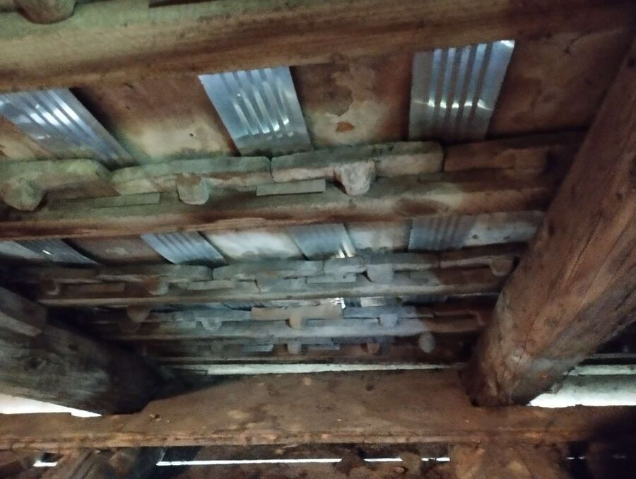 Bee nest at the house remove