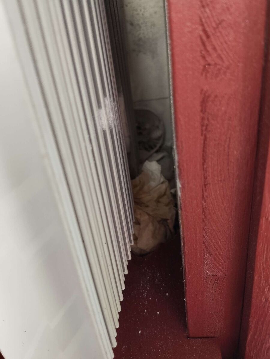 Bee nest at the house remove