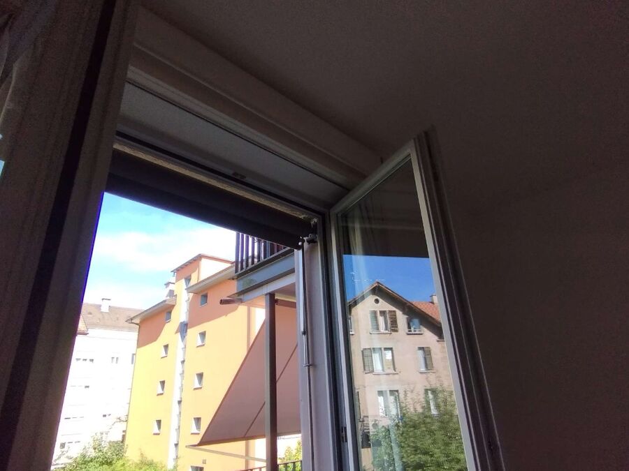 Bee nest at the house remove