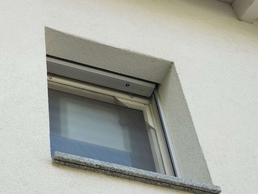 Relocate bees & remove bee nest