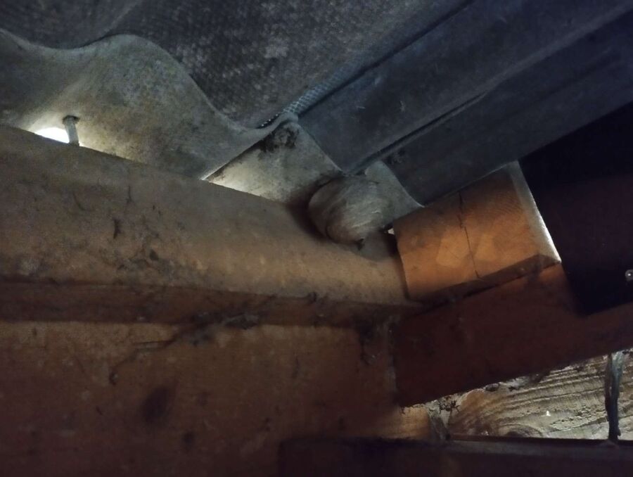 Bee nest at the house remove