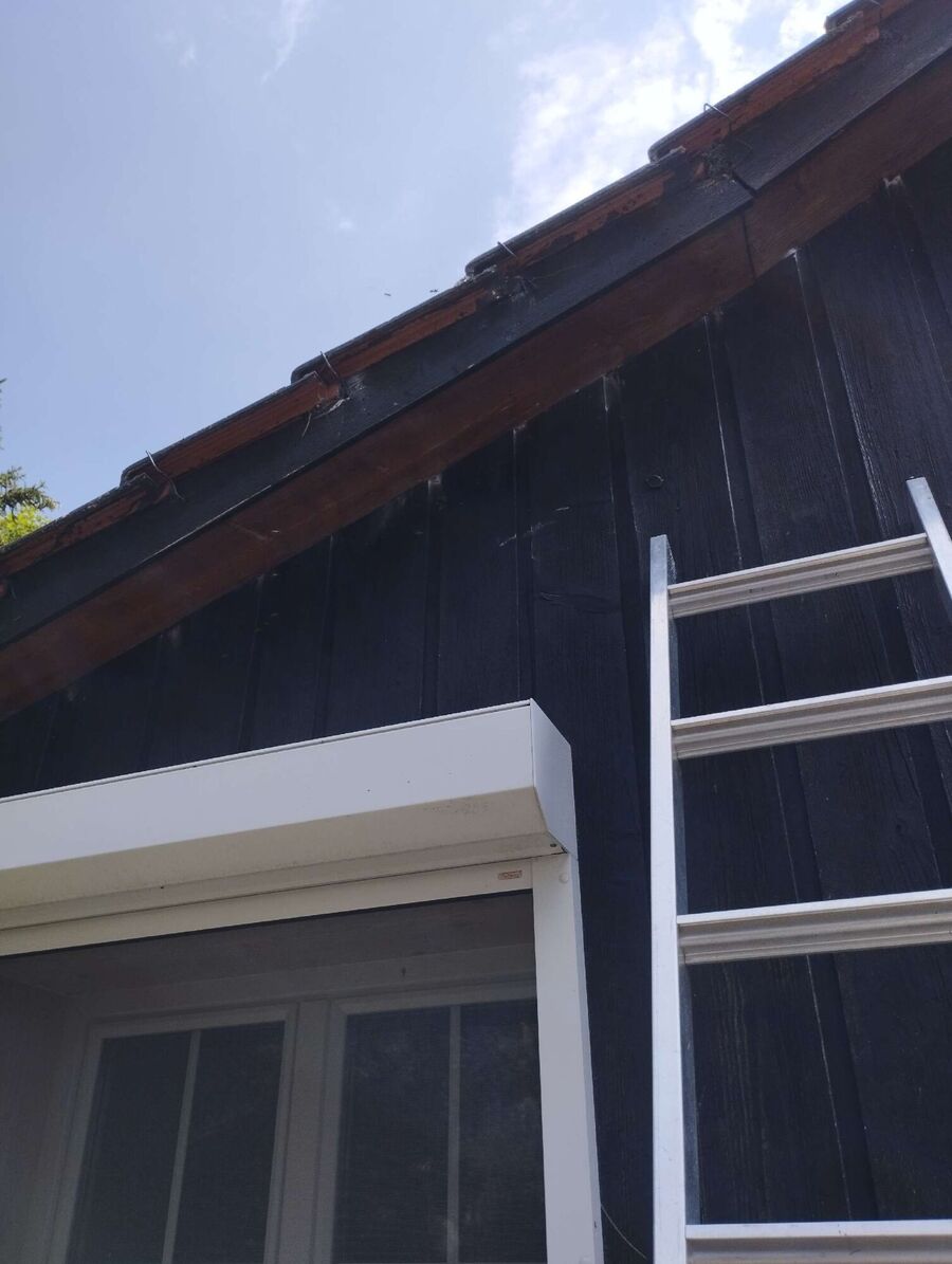 Bee nest at the house remove