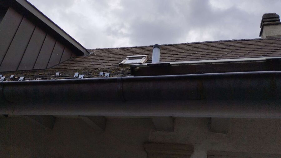 Relocate bees & remove bee nest