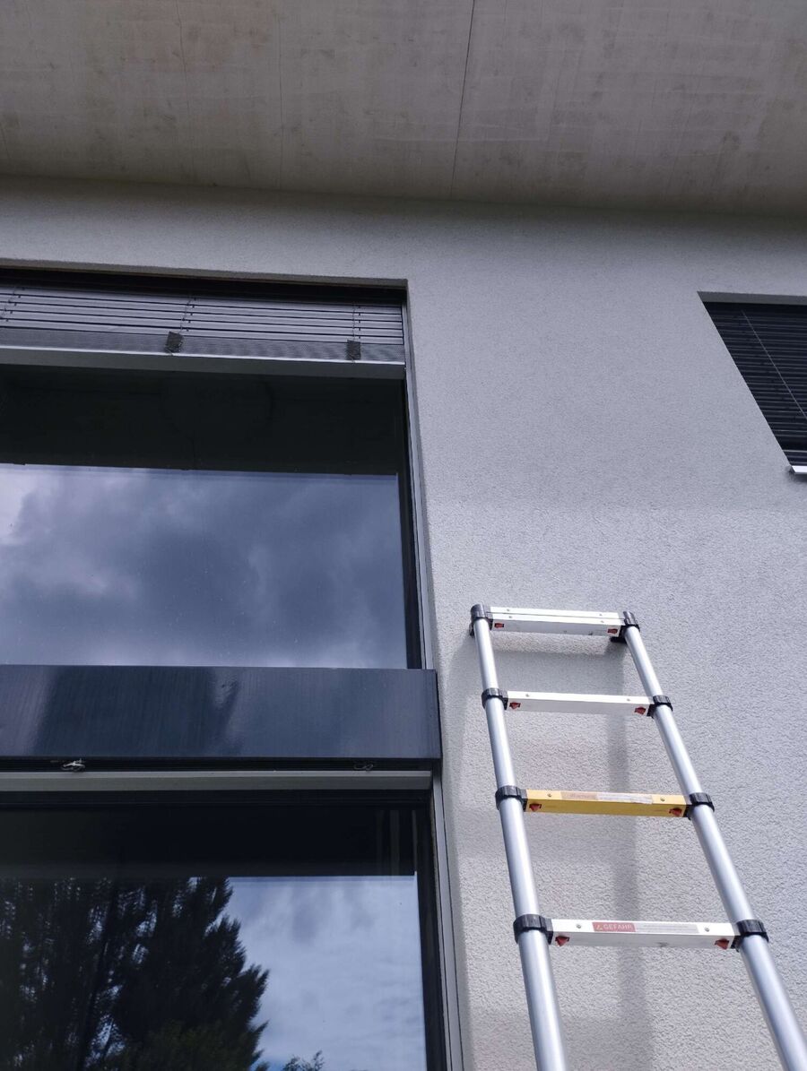 Relocate bees & remove bee nest