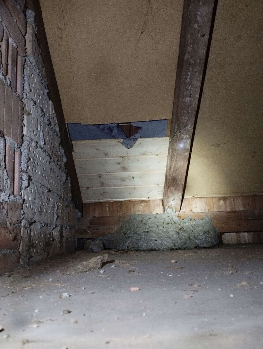 Bee nest at the house remove