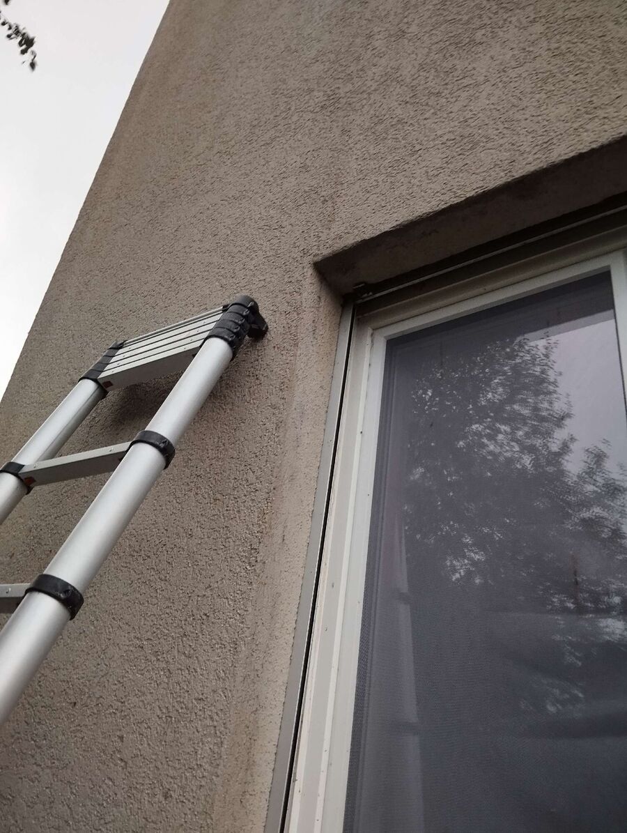 Relocate bees & remove bee nest