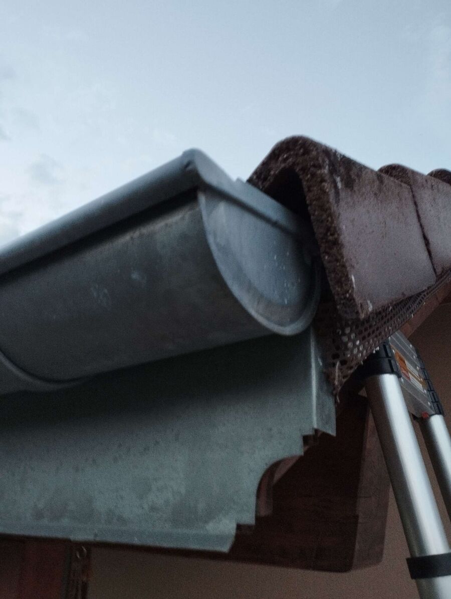 Bee nest at the house remove