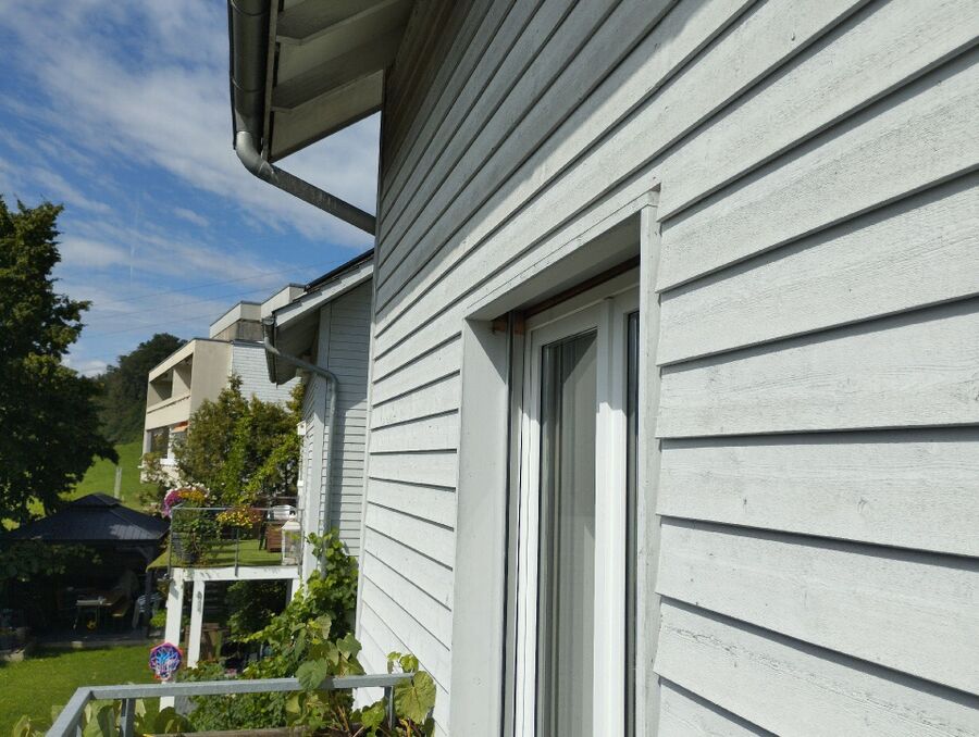 Bee nest at the house remove