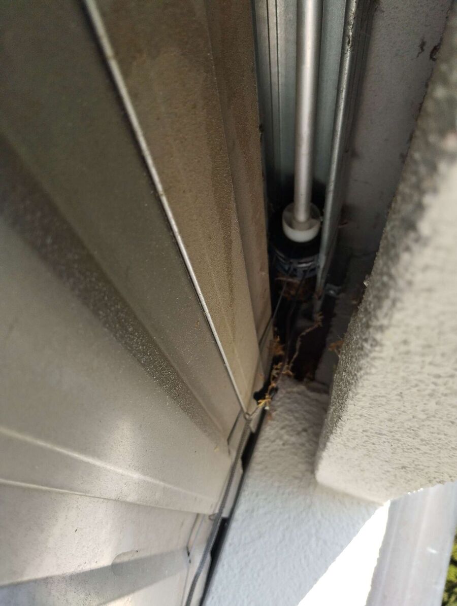 Bee nest at the house remove