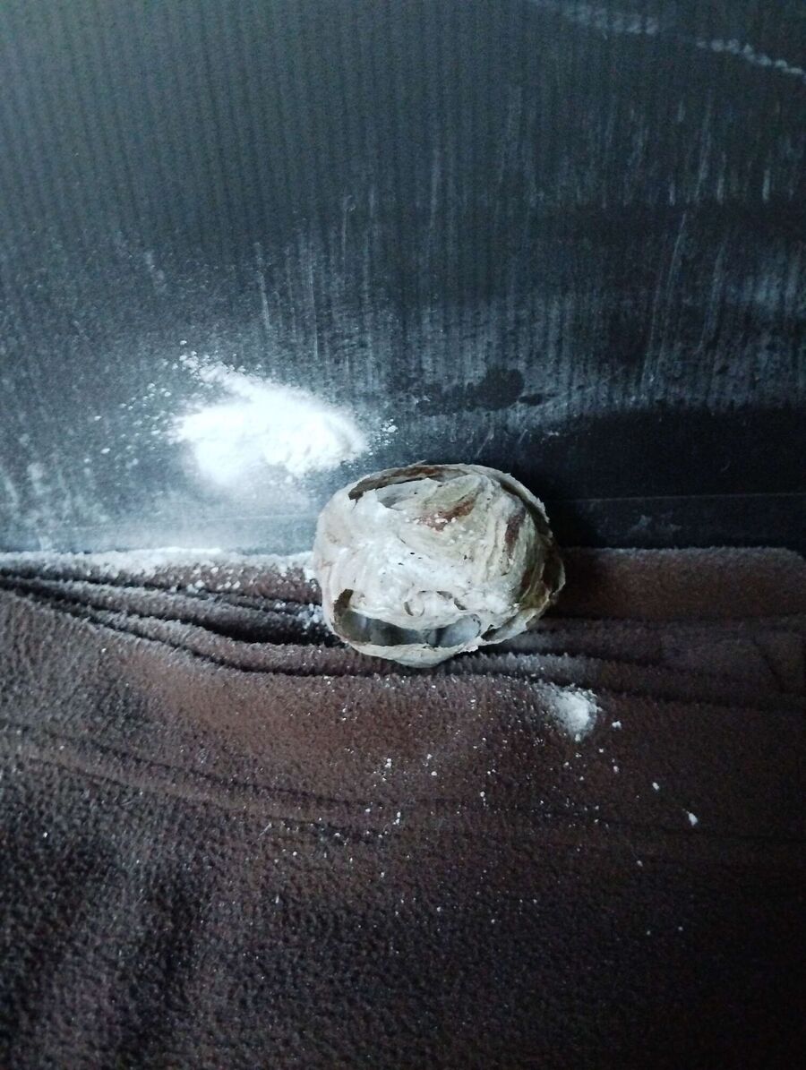 Relocate bees & remove bee nest