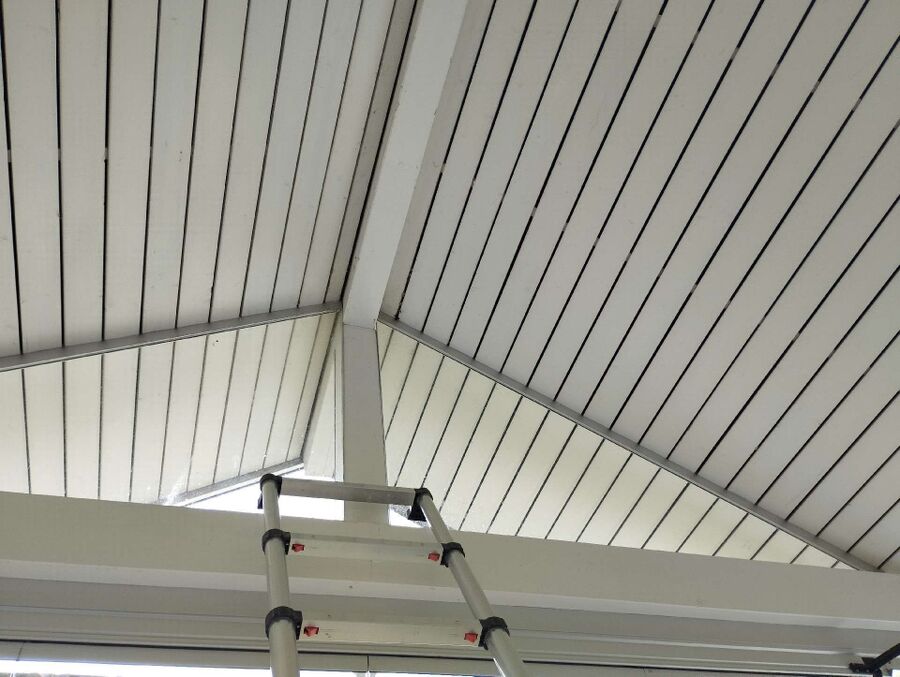 Bee nest at the house remove