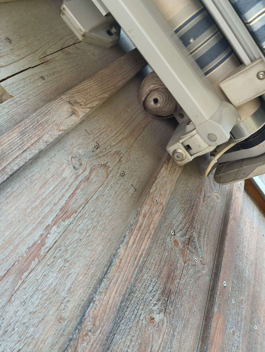 Bee nest at the house remove