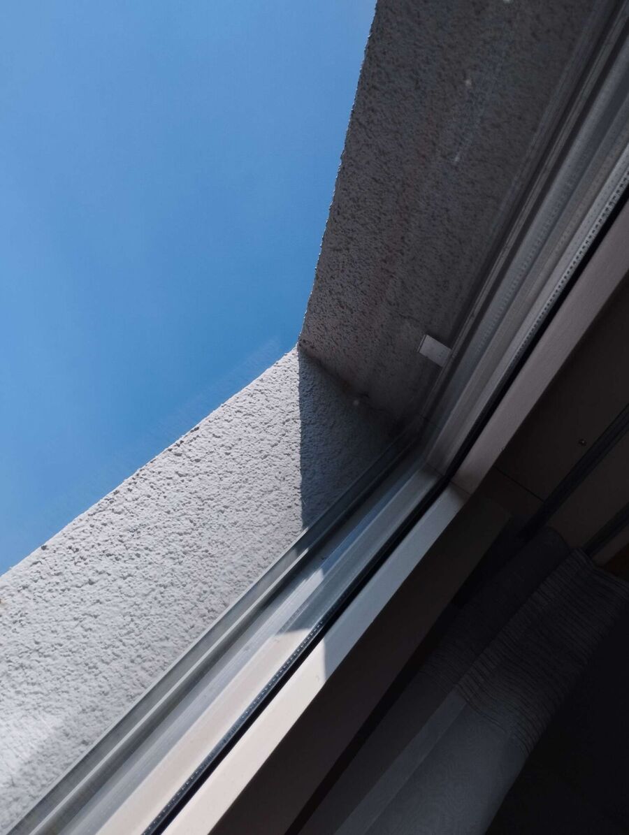 Bee nest at the house remove