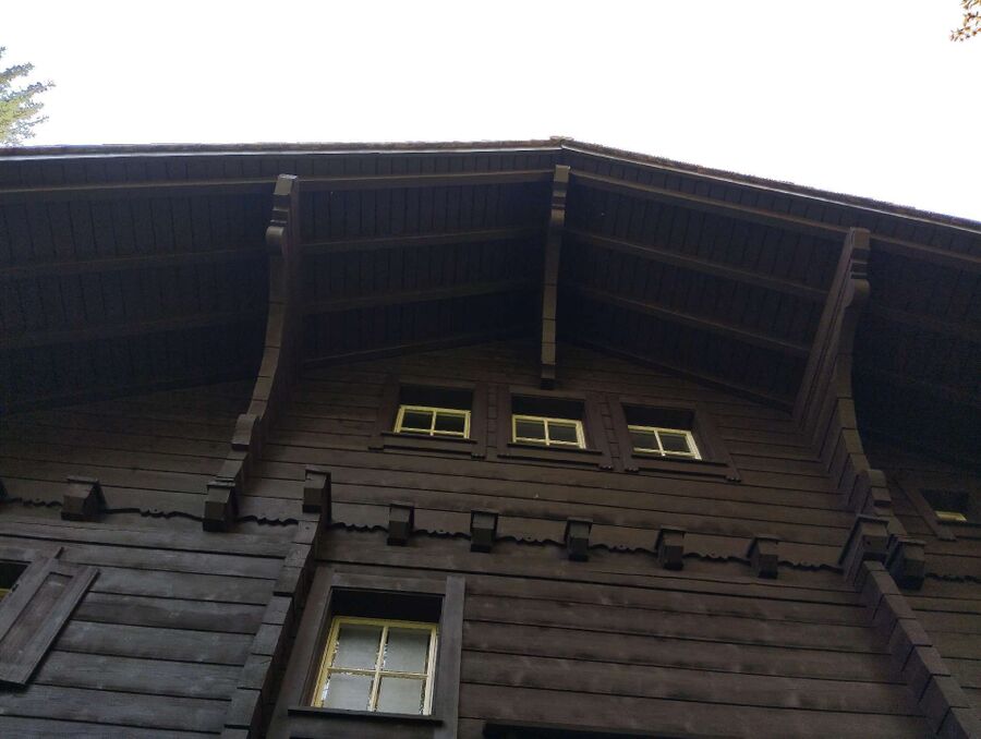 Relocate bees & remove bee nest