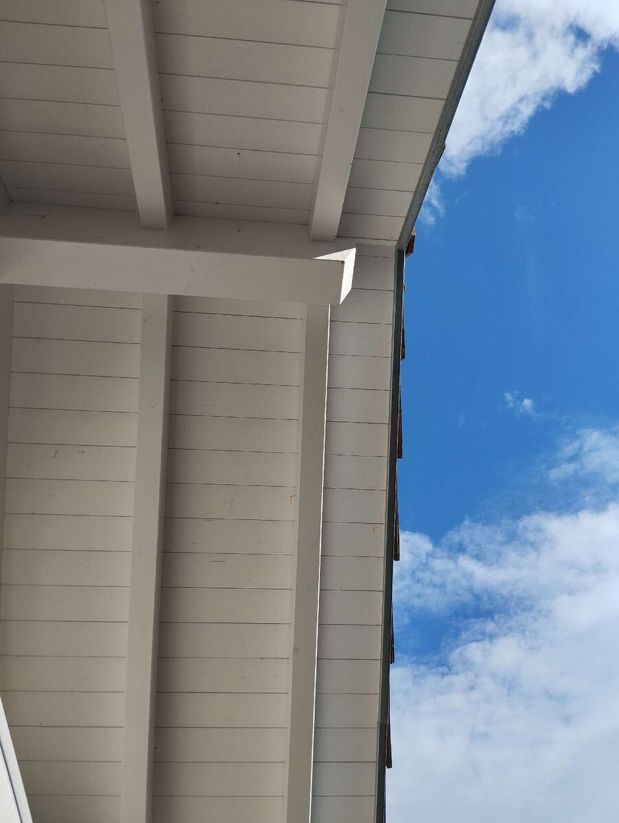 Bee nest at the house remove