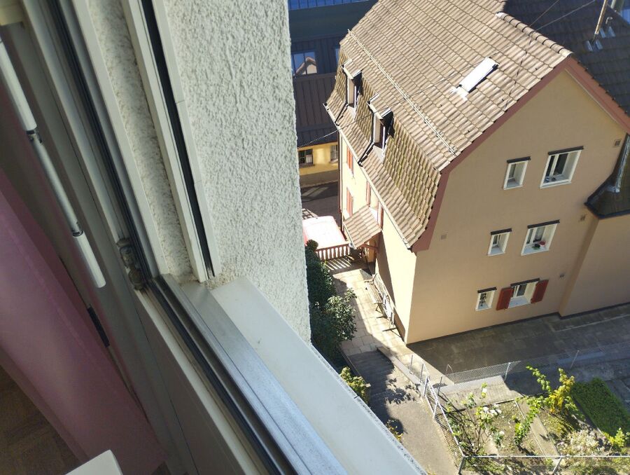 Bee nest at the house remove