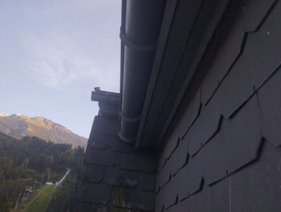 Bee nest at the house remove