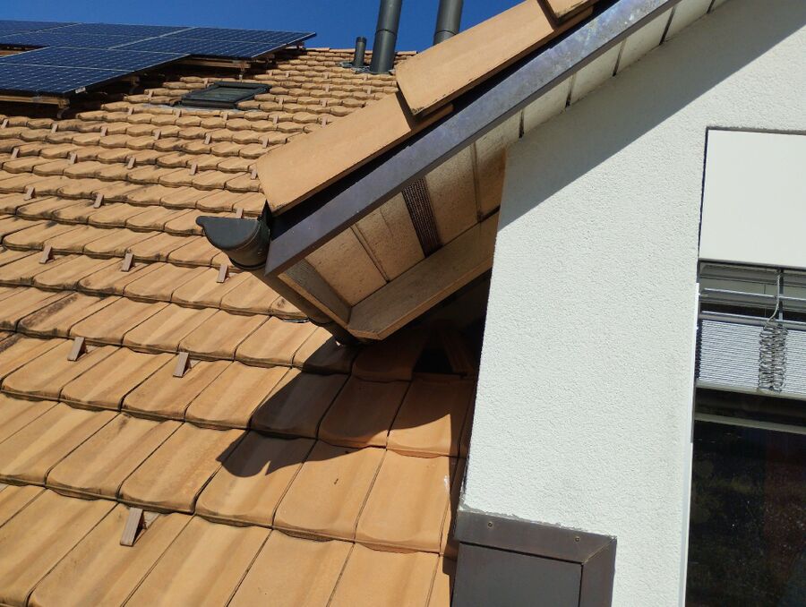 Bee nest at the house remove