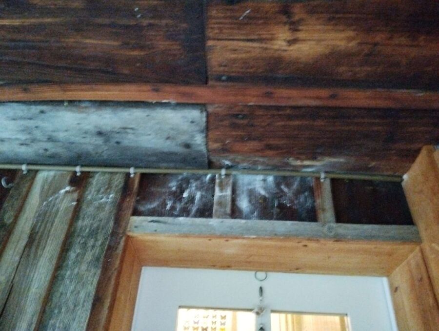 Bee nest at the house remove