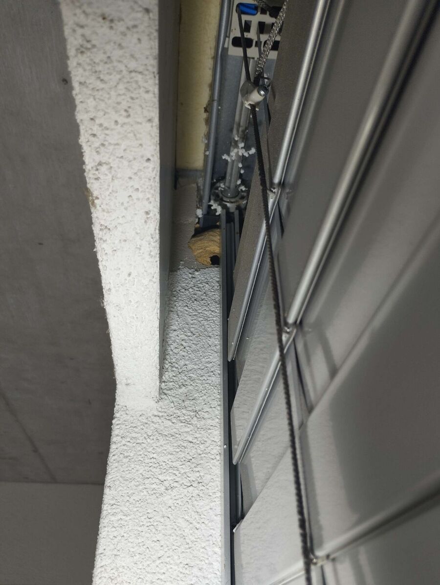 Relocate bees & remove bee nest