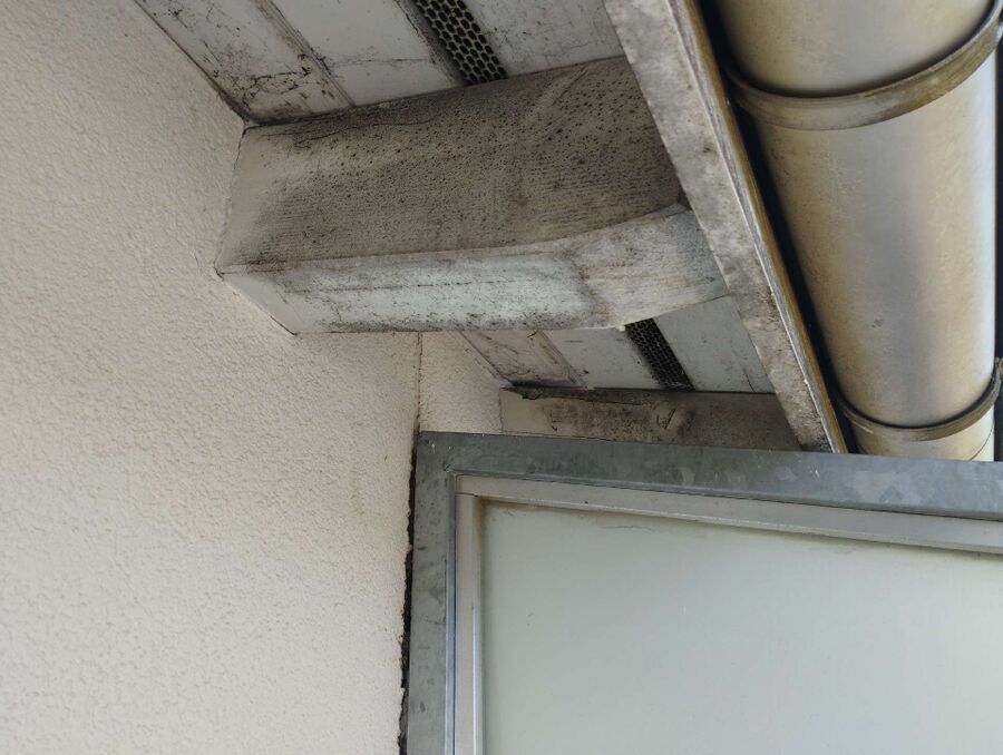 Bee nest at the house remove