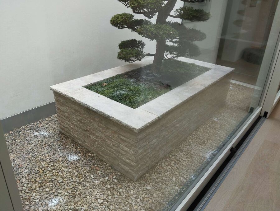 Bee nest at the house remove