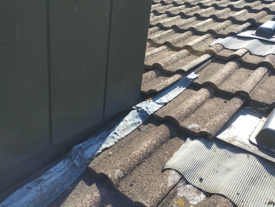 Relocate bees & remove bee nest