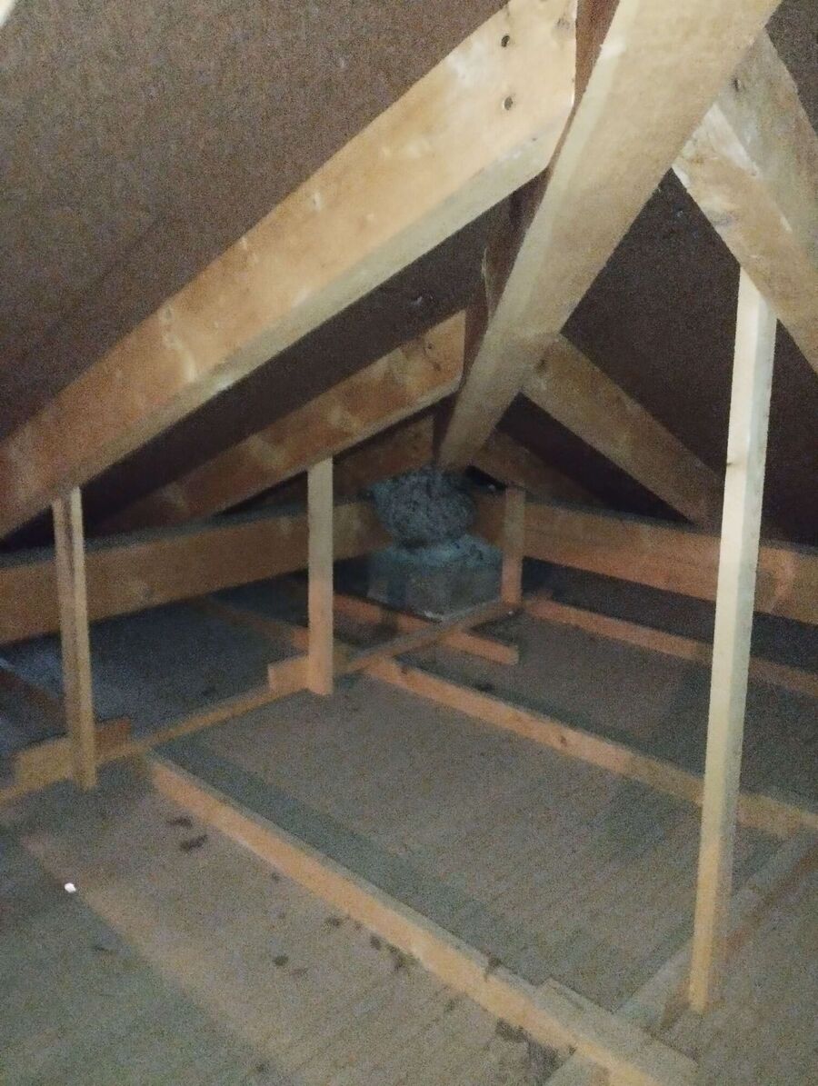 Bee nest at the house remove