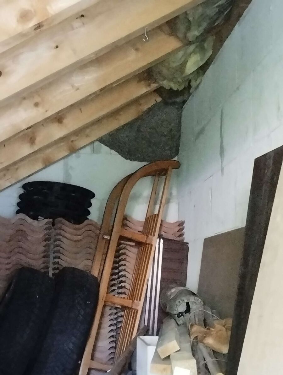 Bee nest at the house remove