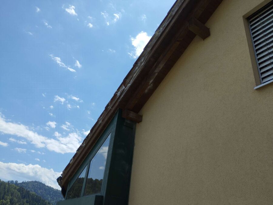 Bee nest at the house remove