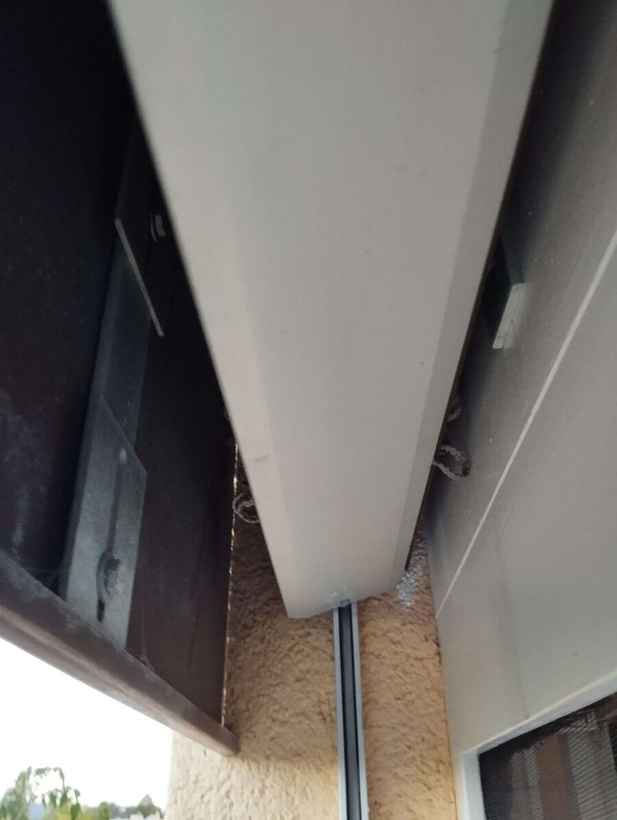 Bee nest at the house remove