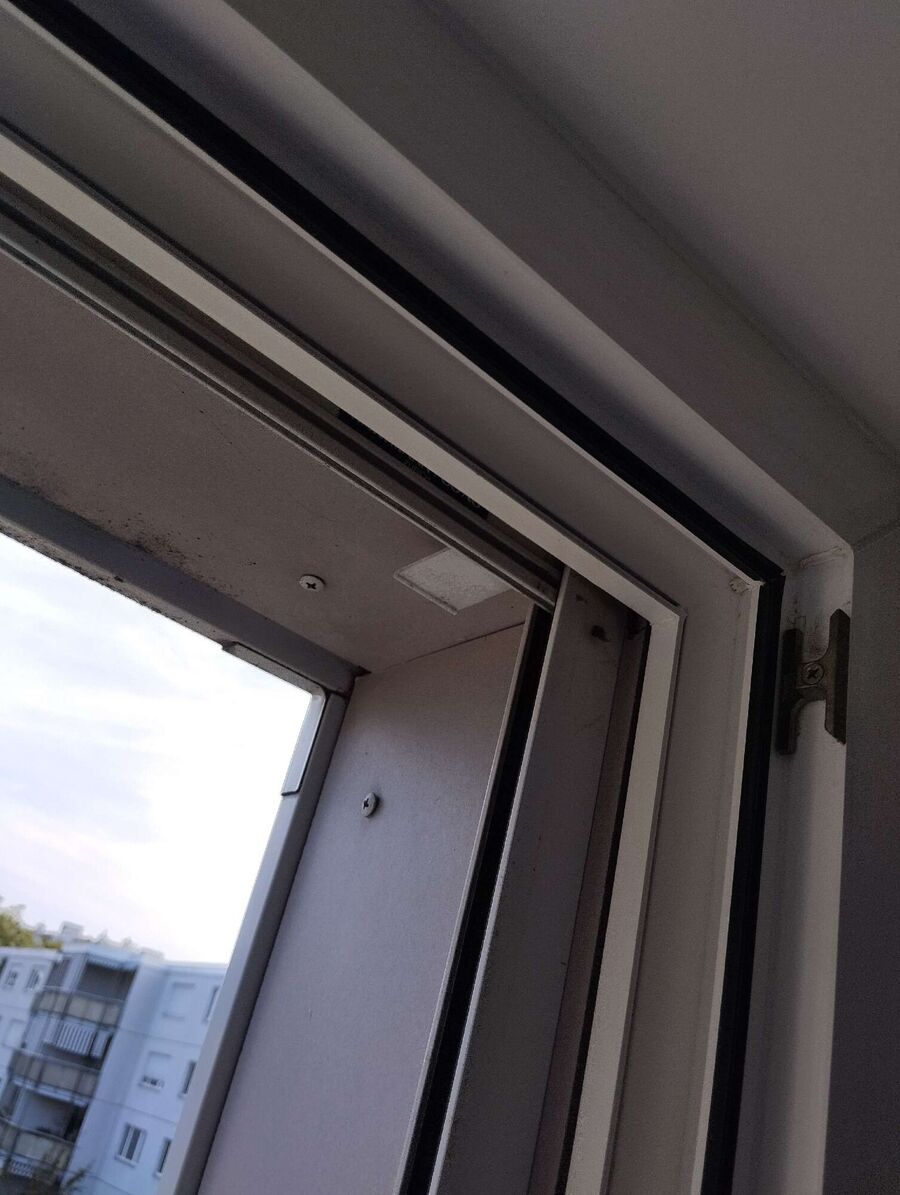 Bee nest at the house remove