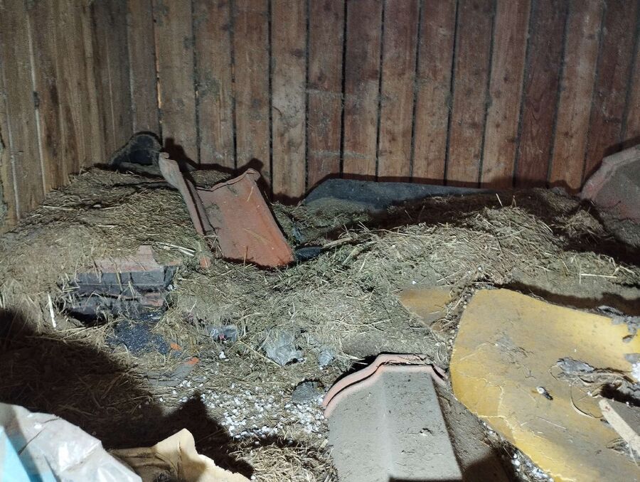 Relocate bees & remove bee nest