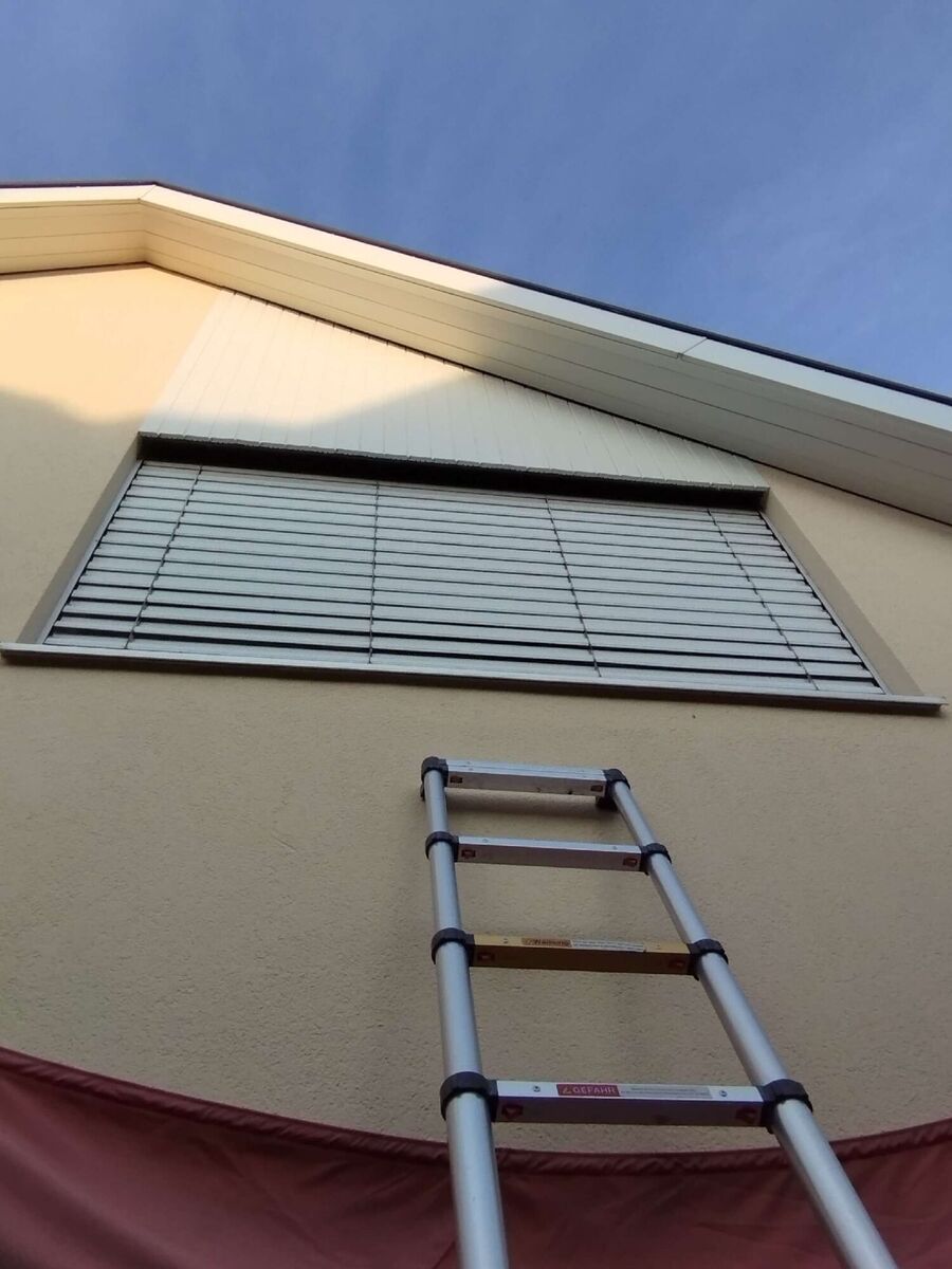 Bee nest at the house remove