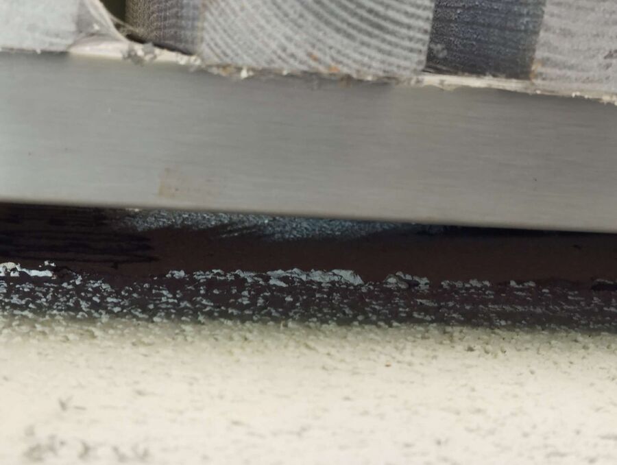 Relocate bees & remove bee nest