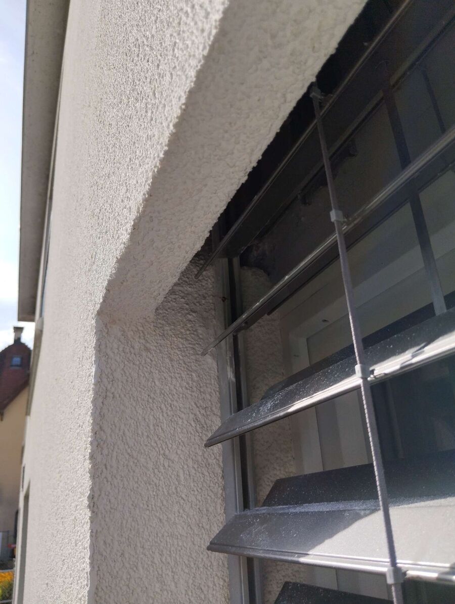 Bee nest at the house remove