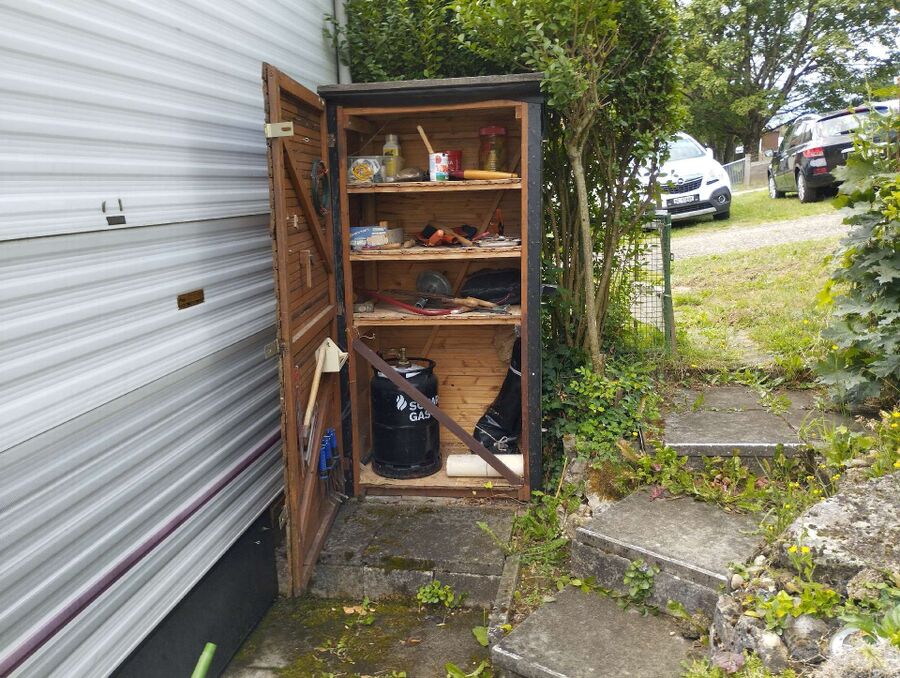 Bee nest at the house remove