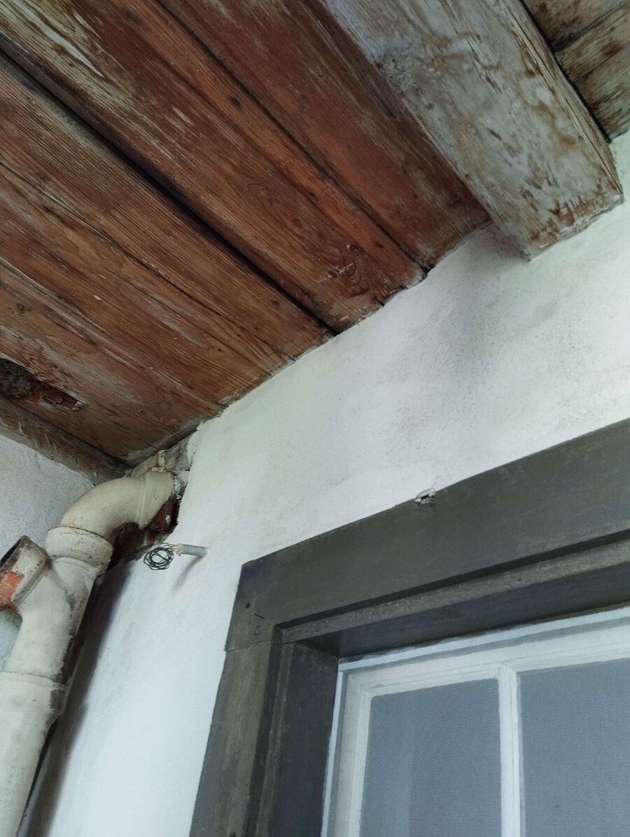 Bee nest at the house remove